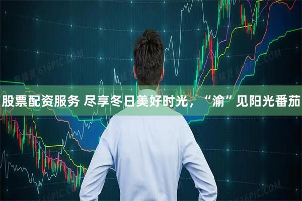 股票配资服务 尽享冬日美好时光，“渝”见阳光番茄