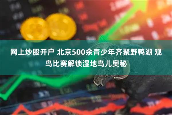 网上炒股开户 北京500余青少年齐聚野鸭湖 观鸟比赛解锁湿地鸟儿奥秘